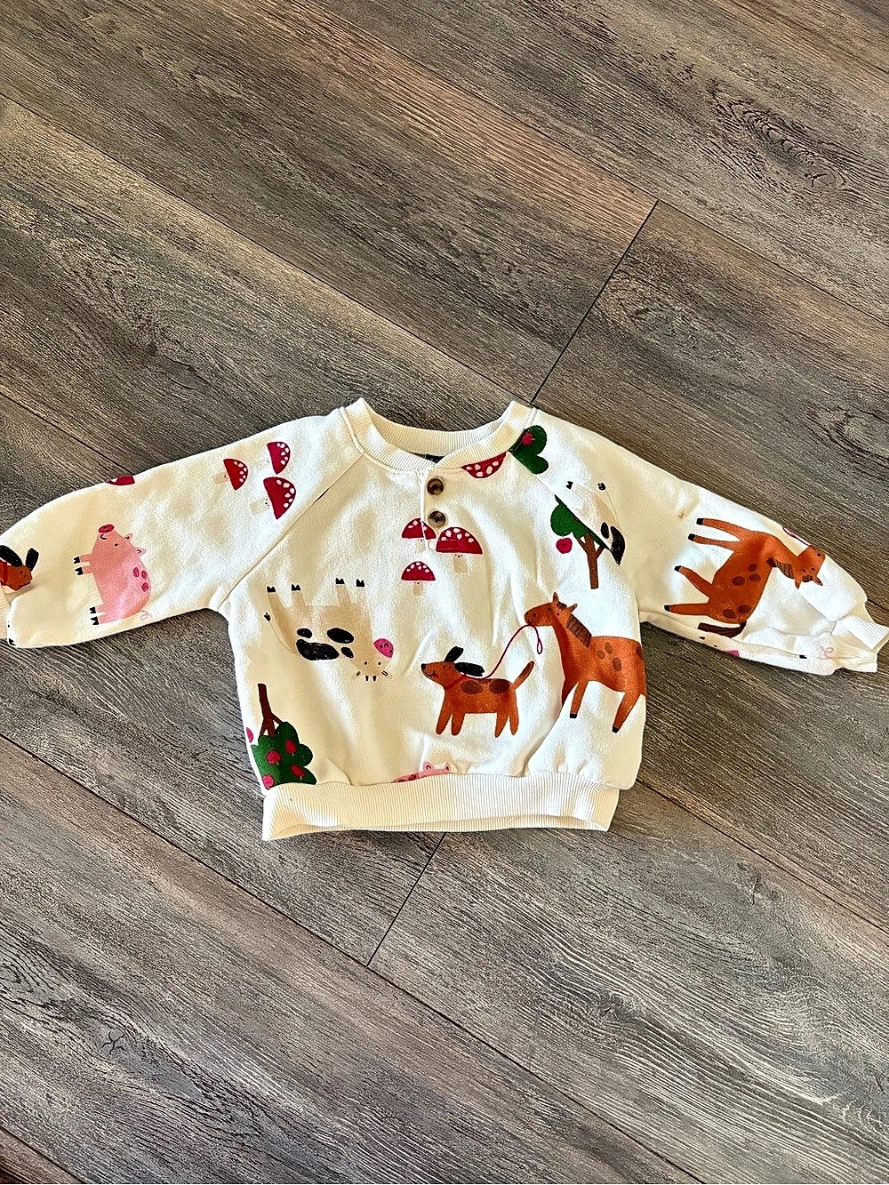 NWOT Old navy Kids Farm Animal & Mushroom Print Sweatshirt